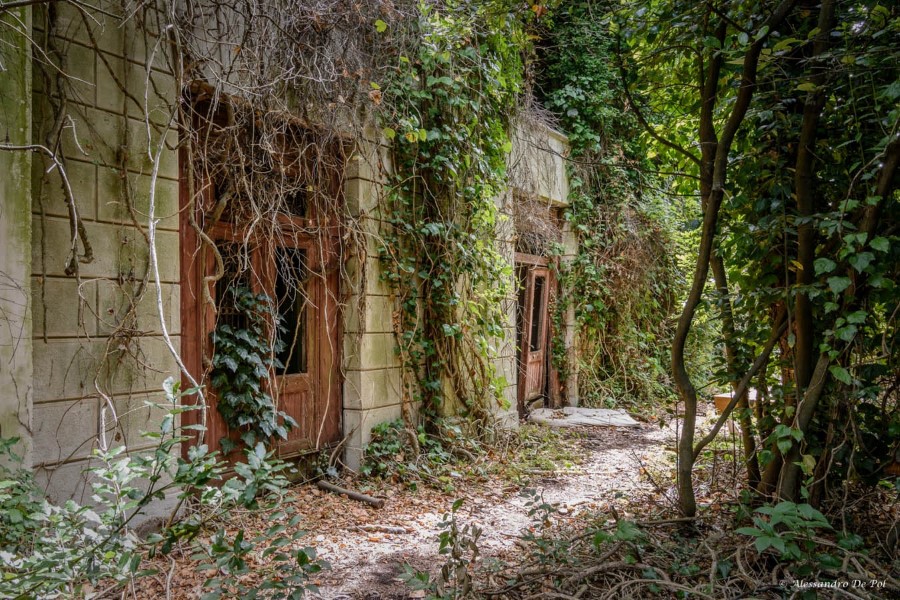 Poveglia Island by Alessandro De Pol [PHOTO GALLERY] - Venezia Autentica | Discover and Support the Authentic Venice - Poveglia Island photo album by Alessandro De Pol