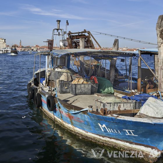 Lido, Pellestrina, and Chioggia: 3 pearls you can not miss - Venetian island - Venezia Autentica | Discover and Support the Authentic Venice - The Venetian islands Lido, Pellestrina and Chioggia are must-visit cities that will challenge what you think you knew about Venice, Italy