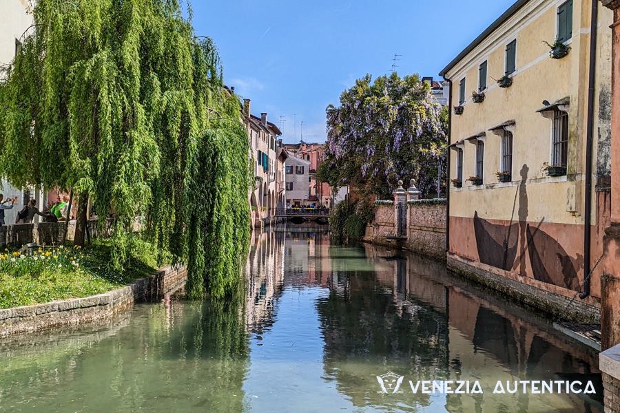 Do you feel Venice is too busy? Treviso is an ideal getaway!